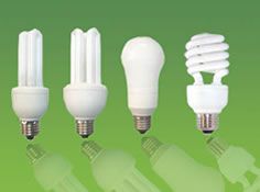 fluorescent-bulbs