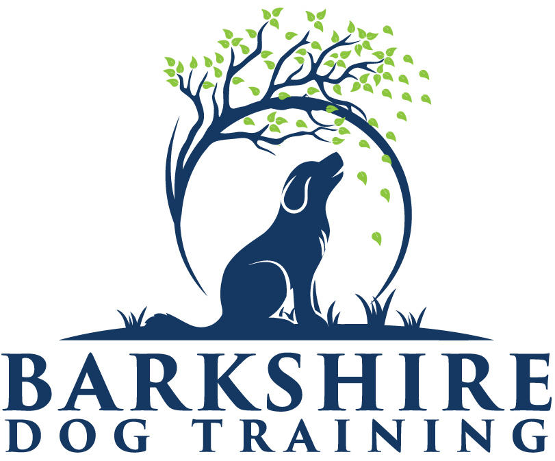 Barkshire-Dog-Training